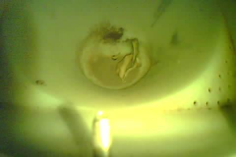 Upload Problem