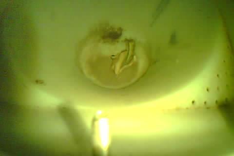 Upload Problem