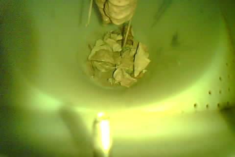 Upload Problem