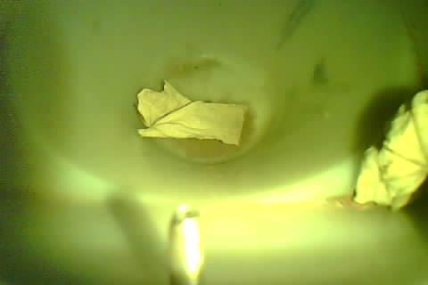 Upload Problem