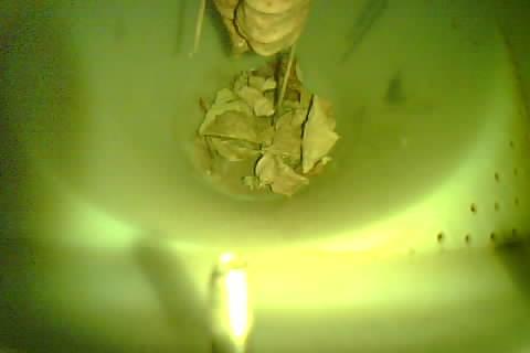 Upload Problem