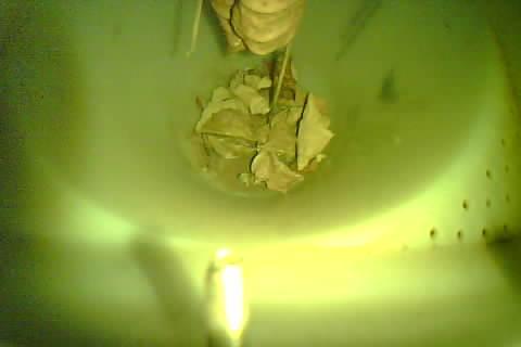 Upload Problem
