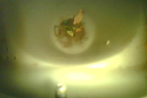Upload Problem