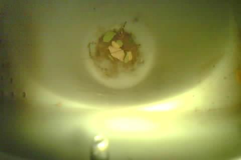 Upload Problem