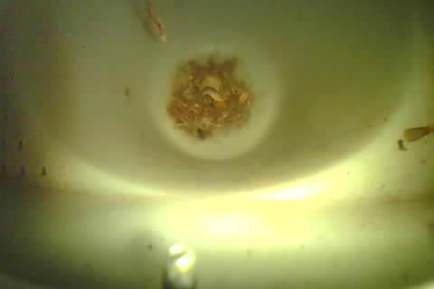 Upload Problem