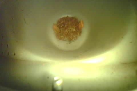 Upload Problem