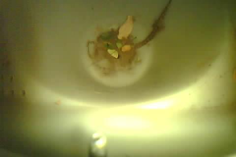 Upload Problem