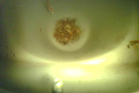 Upload Problem