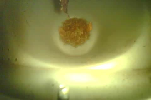 Upload Problem