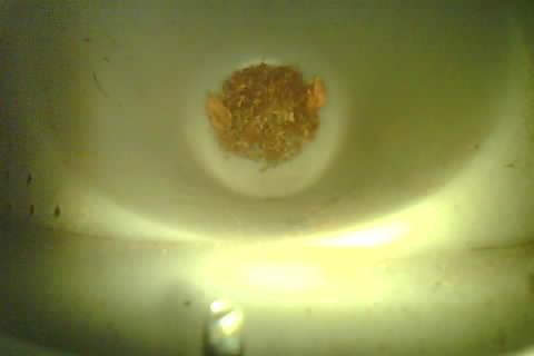 Upload Problem