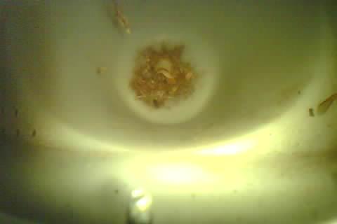 Upload Problem