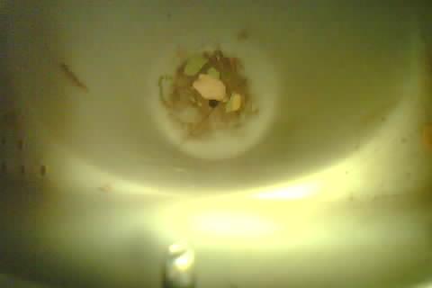 Upload Problem