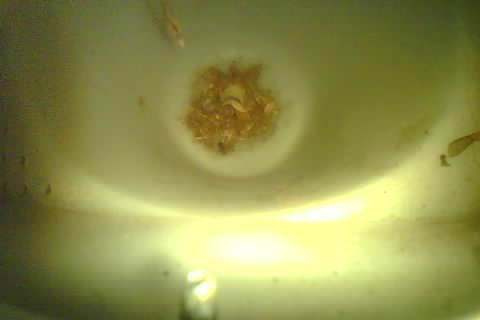 Upload Problem