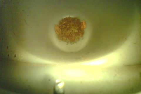 Upload Problem