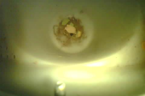 Upload Problem