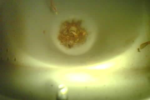 Upload Problem
