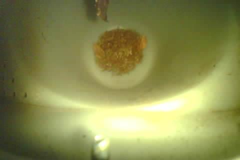 Upload Problem