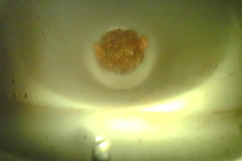 Upload Problem