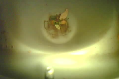 Upload Problem