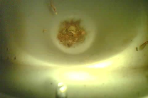 Upload Problem