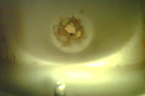 Upload Problem