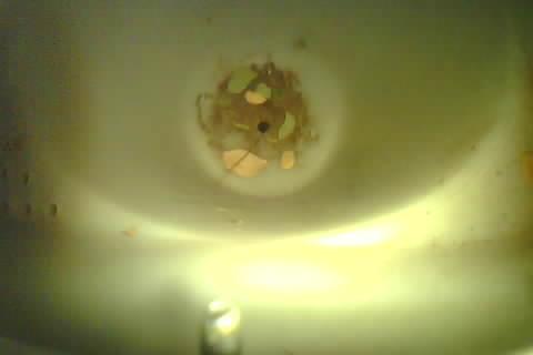 Upload Problem