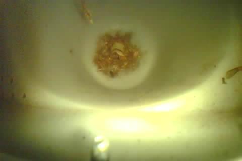 Upload Problem