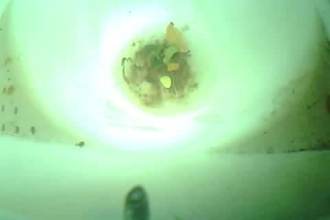 Upload Problem