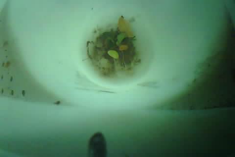 Upload Problem