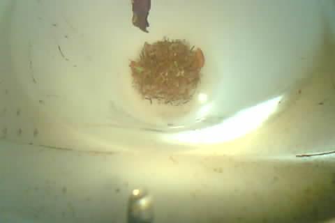 Upload Problem