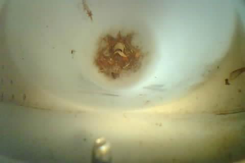 Upload Problem