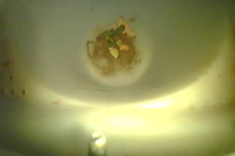 Upload Problem