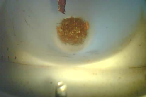 Upload Problem