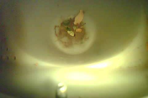 Upload Problem