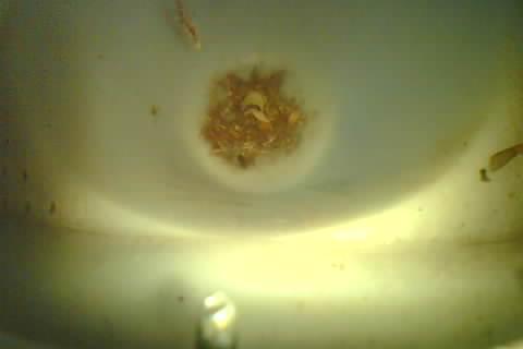 Upload Problem