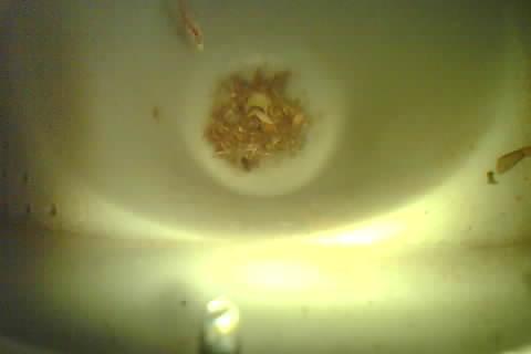 Upload Problem