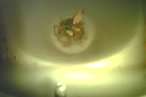Upload Problem