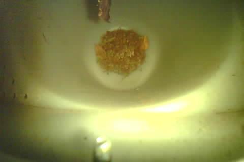 Upload Problem