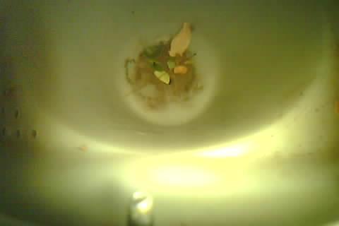 Upload Problem