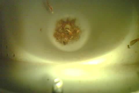 Upload Problem