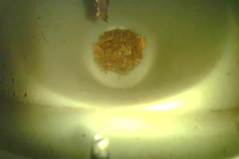 Upload Problem