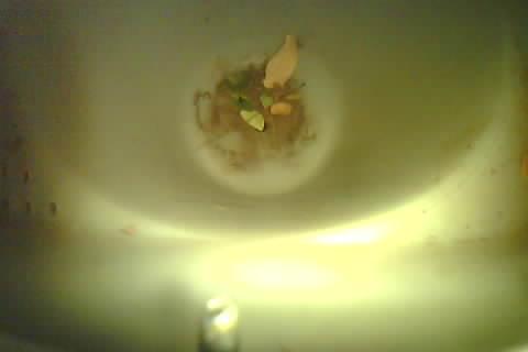 Upload Problem