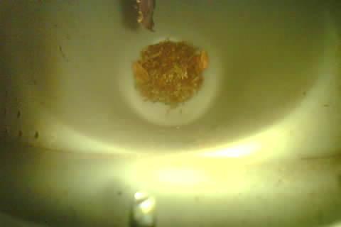 Upload Problem