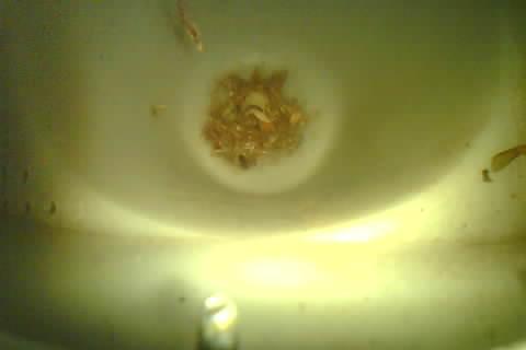 Upload Problem