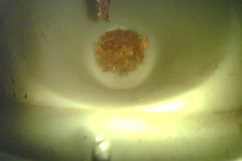 Upload Problem