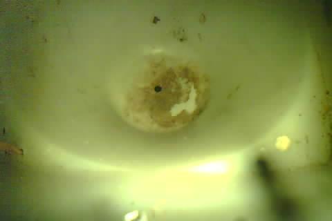 Upload Problem
