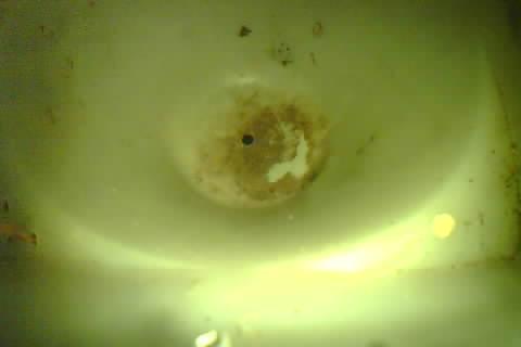 Upload Problem