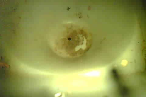 Upload Problem