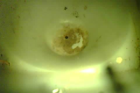 Upload Problem