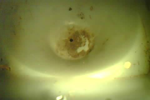 Upload Problem